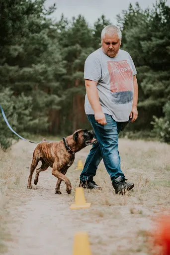 PsuBrat - szkolenia psów, pomoc behawioralna